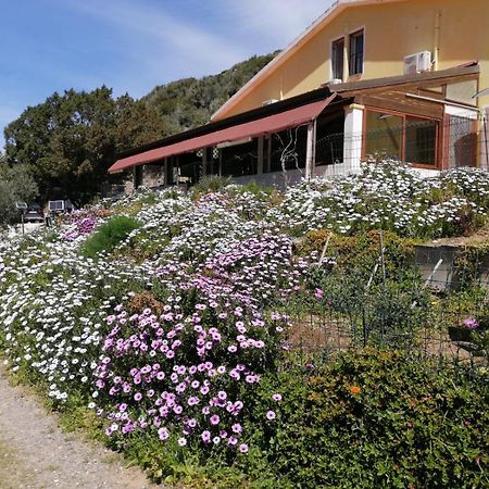 Il Lentischio Hotell Cala Sapone Eksteriør bilde