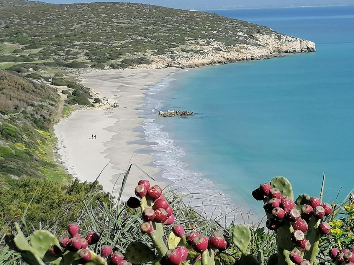 Il Lentischio Hotell Cala Sapone Eksteriør bilde