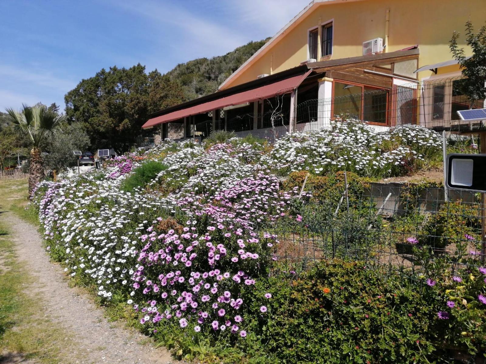 Il Lentischio Hotell Cala Sapone Eksteriør bilde